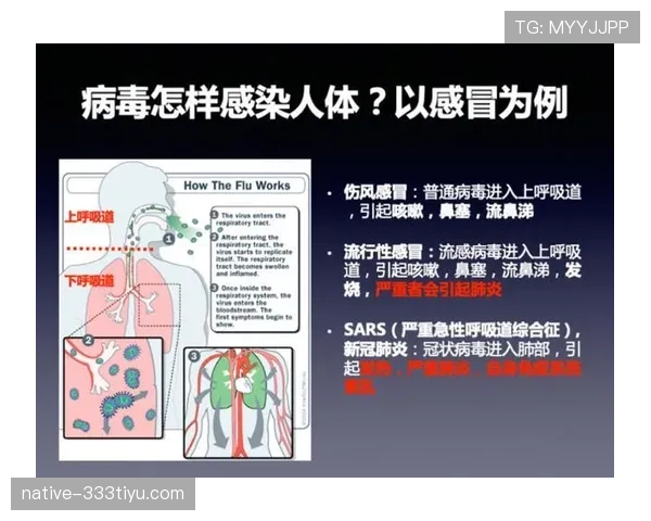 追加处罚规则如何判定?这些细节你必须知道 追加处罚规则如何判定?这些细节你必须知道